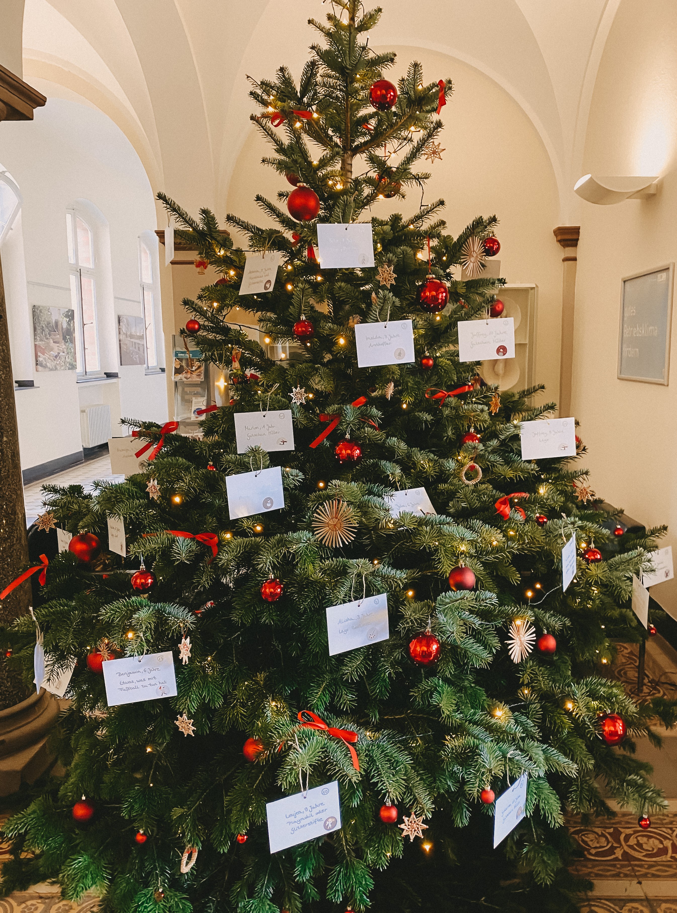 Das Bild zeigt einen Weihnachtsbaum