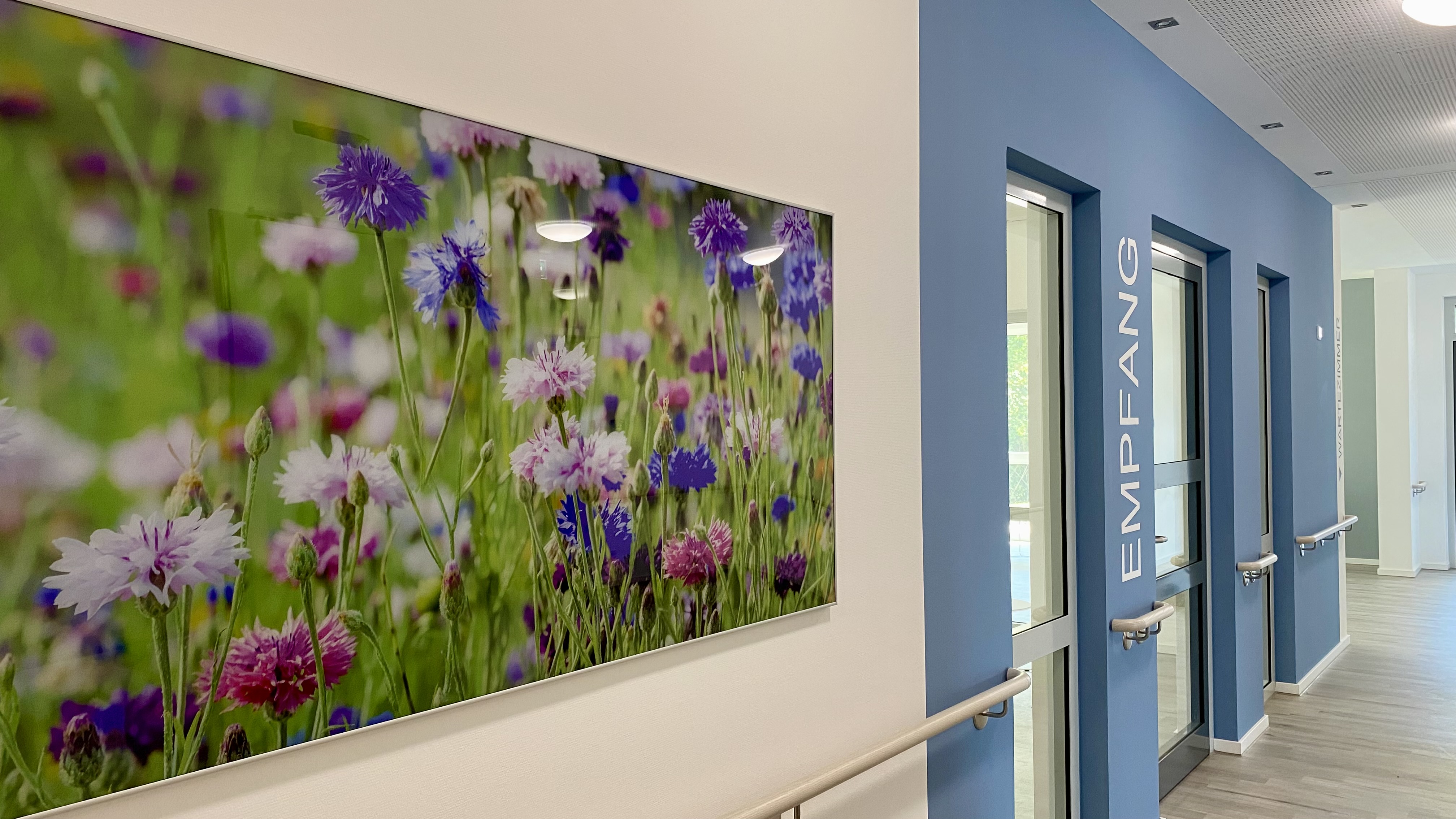 Das Bild zeigt Bild an der Wand, das Blumen zeigt, und eine Tür.